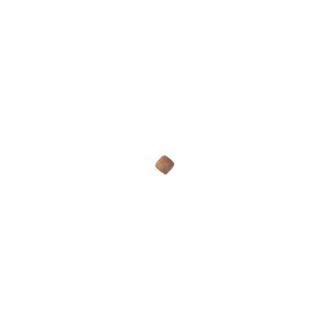 Royal Canin Canine Dental Dry food